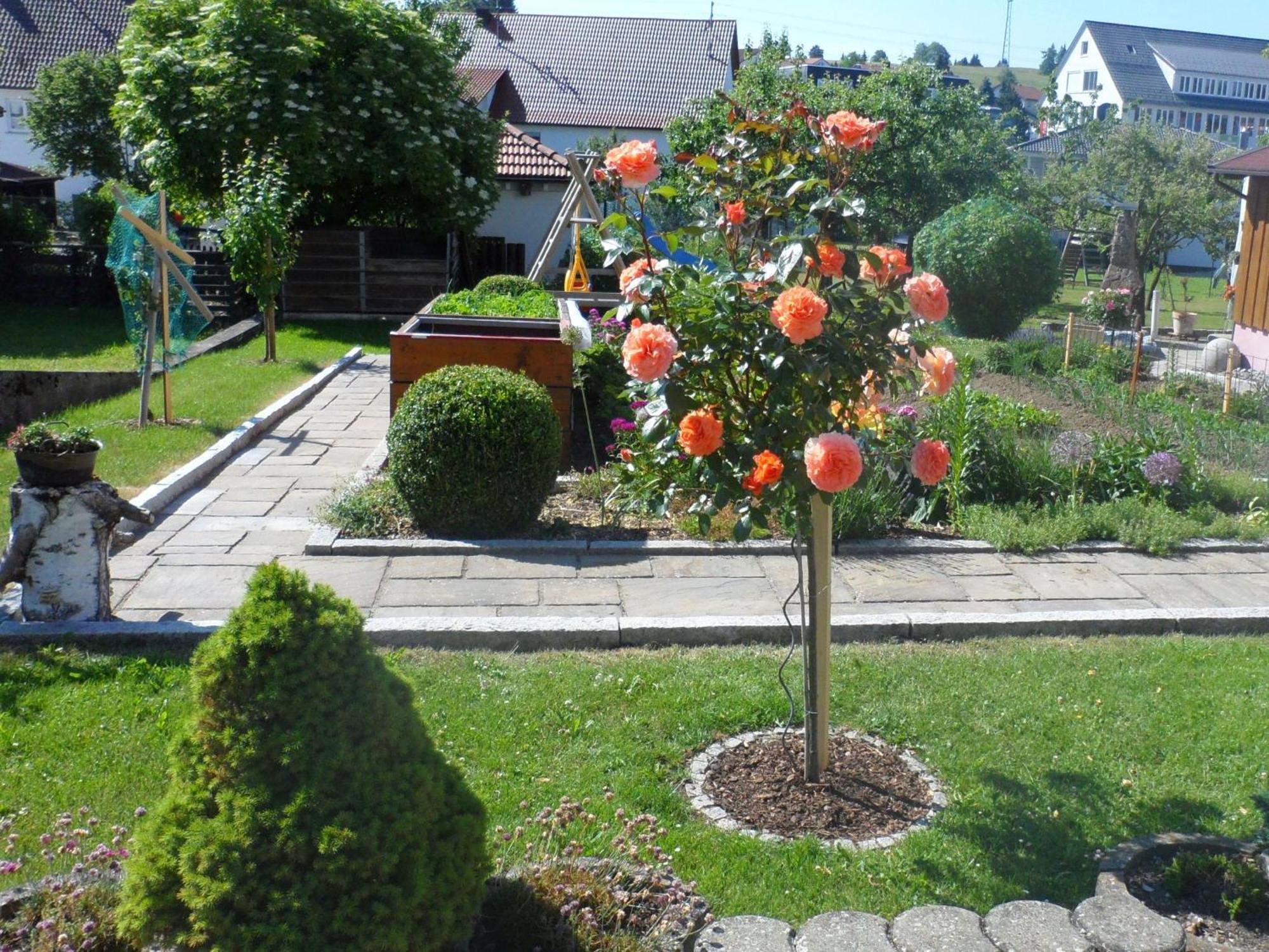 Ferienwohnung Eleonore Messstetten Dış mekan fotoğraf
